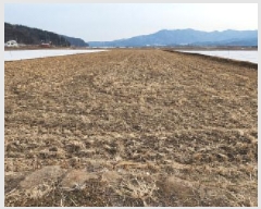  2025Ÿ��10392  ����