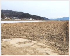  2025Ÿ��10392  ����