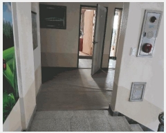  2025Ÿ10790  ̽  1037-19       ڽü,,ȣ,