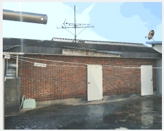  2025Ÿ10790  ̽  1037-19       ڽü,,ȣ,