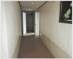  2025Ÿ10790  ̽  1037-19       ڽü,,ȣ,