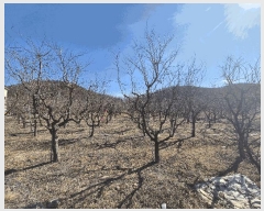  2025Ÿ��10794 ��� ���̽� �굿�� ������ 152-4      ����(��)���