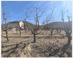  2025Ÿ��10794 ��� ���̽� �굿�� ������ 152-4      ����(��)���