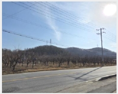  2025Ÿ��10794 ��� ���̽� �굿�� ������ 152-4      ����(��)���