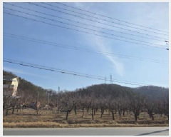  2025Ÿ��10794 ��� ���̽� �굿�� ������ 152-4      ����(��)���