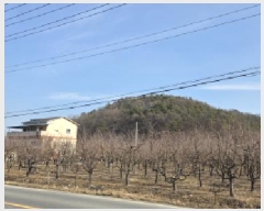  2025Ÿ��10794 ��� ���̽� �굿�� ������ 152-4      ����(��)���