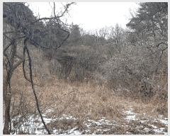  2025Ÿ10833  õ ʸ  60      (Ӿ)