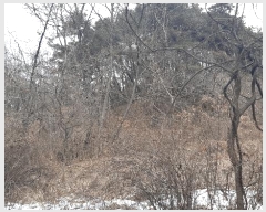  2025Ÿ10833  õ ʸ  60      (Ӿ)