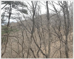  2025Ÿ10833  õ ʸ  60      (Ӿ)