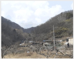  2025Ÿ10833  õ ʸ  60      (Ӿ)