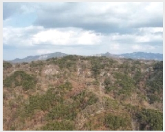  2025Ÿ10833  õ ʸ  60      (Ӿ)