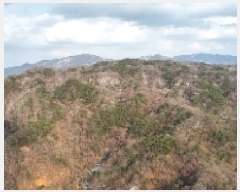  2025Ÿ10833  õ ʸ  60      (Ӿ)