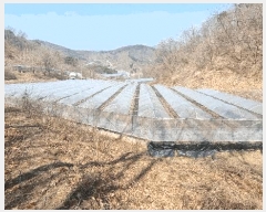  2025Ÿ��10839 ��� ��õ�� ����� ��ȭ�� 848-1      ����(�Ӿ�)���