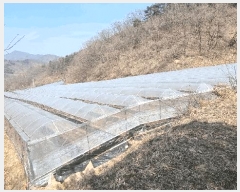  2025Ÿ��10839 ��� ��õ�� ����� ��ȭ�� 848-1      ����(�Ӿ�)���