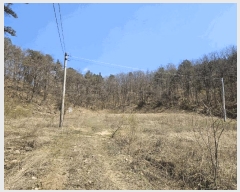  2025Ÿ��10881  ���������