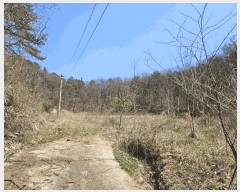  2025Ÿ��10881  ���������