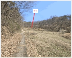  2025Ÿ��10881  ���������