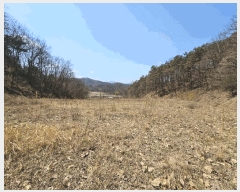  2025Ÿ��10881  ���������