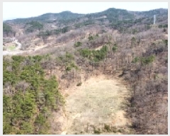  2025Ÿ��10881  ���������