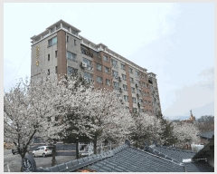  2025Ÿ��10889  ����Ʈ���