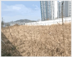  2025Ÿ10914  õ ΰ 518-8       ()