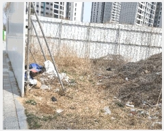  2025Ÿ10914  õ ΰ 518-8       ()