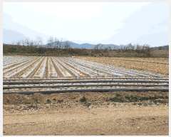  2025Ÿ��10948  ����