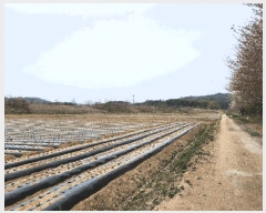  2025Ÿ��10948  ����