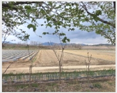  2025Ÿ��10948  ����