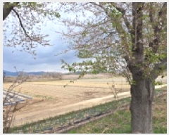  2025Ÿ��10948  ����