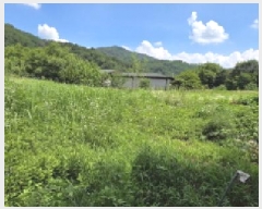  2025Ÿ��10952 ��� ��õ�� ����� 385-2       ����(��1)���