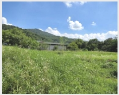  2025Ÿ��10952 ��� ��õ�� ����� 385-2       ����(��1)���