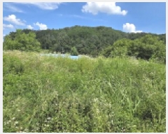  2025Ÿ��10952 ��� ��õ�� ����� 385-2       ����(��1)���