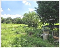  2025Ÿ��10952 ��� ��õ�� ����� 385-2       ����(��1)���