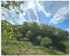  2025Ÿ��10990  �Ӿ߰��