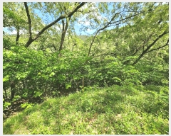  2025Ÿ��10990  �Ӿ߰��