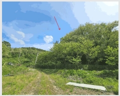  2025Ÿ��10990  �Ӿ߰��