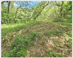  2025Ÿ��10990  �Ӿ߰��