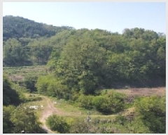  2025Ÿ��10990  �Ӿ߰��