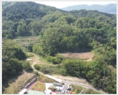  2025Ÿ��10990  �Ӿ߰��