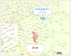  2025Ÿ��10990  �Ӿ߰��