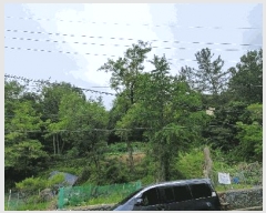  2025Ÿ��10998  �Ӿ߰��