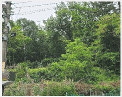  2025Ÿ��10998  �Ӿ߰��