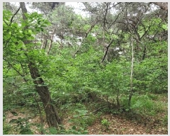  2025Ÿ��10998  �Ӿ߰��