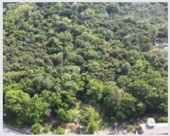  2025Ÿ��10998  �Ӿ߰��