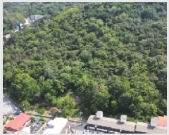  2025Ÿ��10998  �Ӿ߰��