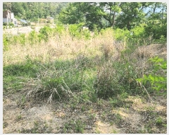  2025Ÿ��11023  �������