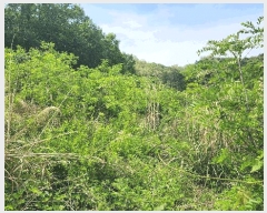  2025Ÿ��11023  �������