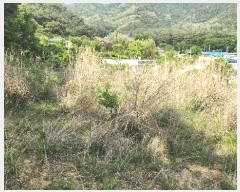  2025Ÿ��11023  �������