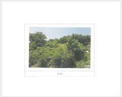  2025Ÿ��11023  �������